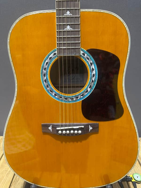 Esteban American Legacy Acoustic Guitar image 1