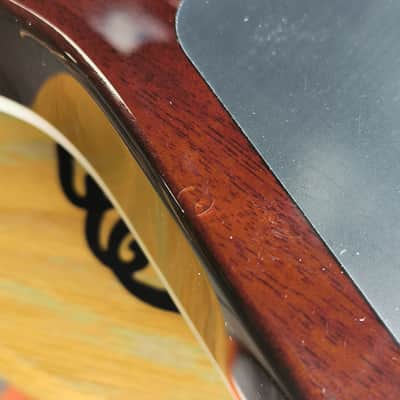 Jackson Pro Plus Series Dinky DKAQ - Ebony Fingerboard, Ghost Burst image 19
