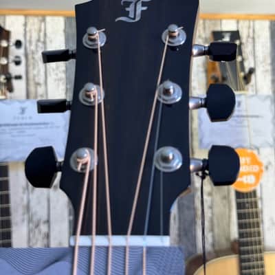 Furch GREEN Gc SX a BACKSTAGE LIMITED PURPLE HEART Lr Baggs Athem image 19