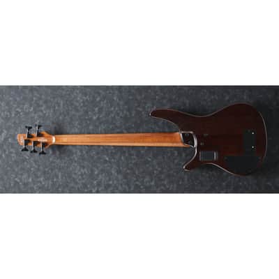 Ibanez SRH505FNNF SR Bass Workshop 5-string Bass - Hollow Body Fretless - Fretless - Natural Browned Burst Flat image 6