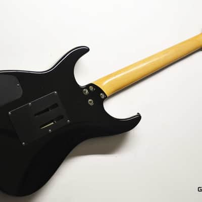 Fernandes  FR-65 image 7
