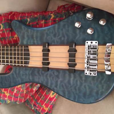 Warwick Robert Trujillo Signature Artist Series 2012 Blue Swirl image 1