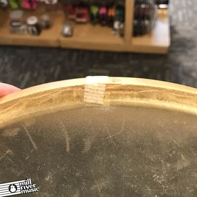 Vintage 14" Unbranded Calfskin Drum Head 30's-40's imagen 5
