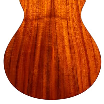 2001 Breedlove Limited Edition SC25/K Custom Concept Deep Body #6 of 10 Cedar/Koa Natural #2444 image 4