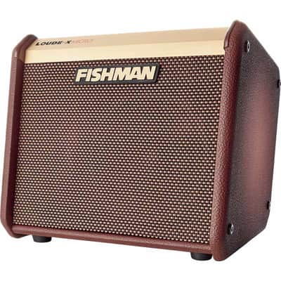 FISHMAN PRO-LBT-400 Micro - Micro 40W image 7