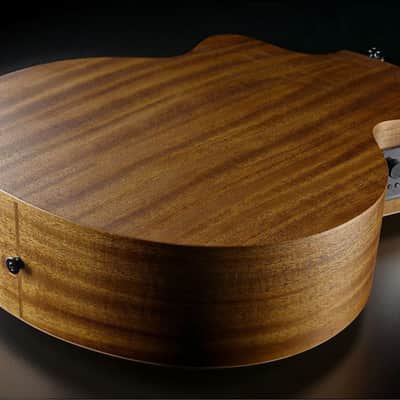 Lag Hyvibe 10 Acoustic Bass Cutaway Satin W/Gigbag 2025 - Satin image 8