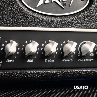 Immagine Peavey Valveking 20 Mh - 4