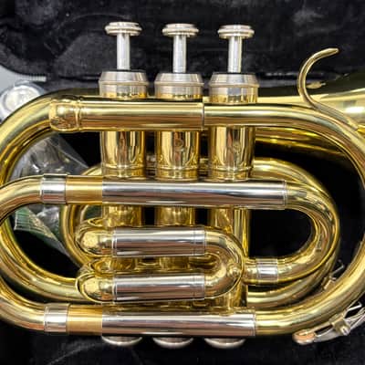 New Oxford Pocket Trumpet image 4