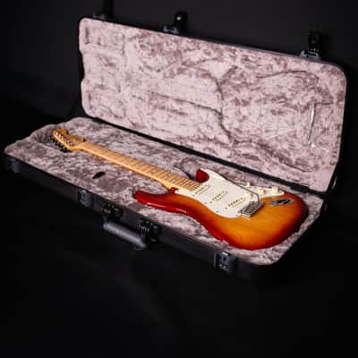Fender American Professional Stratocaster Sienna Sunburst w/ HSC, 2016 - USED image 4