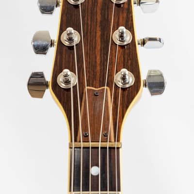 Washburn Falcon 1979 - Rosewod Top - 5 piece neck through with coil taps image 8