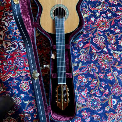 Glenn Canin Cedar/Madagascar Doubletop Concert Classical Guitar 2023 image 9