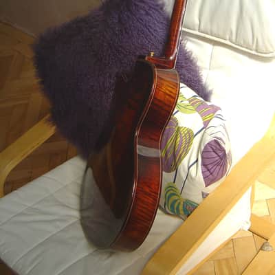 Archtop Short Scale image 7