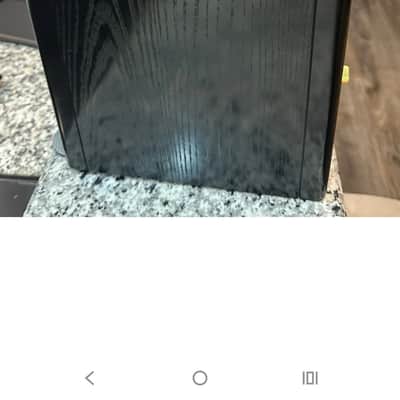 Vienna Acoustics  Haydn's (pair) bookshelf speakers image 6