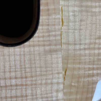 2025 Wald 17-inch Archtop - Brand New - Custom TRM Build Bild 13