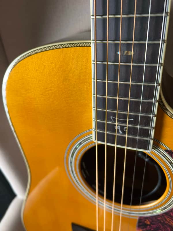 Martin Trey Anastasio Signature Edition DC Fishman Ellipse image 1