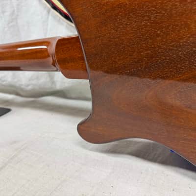 PRS Paul Reed Smith Artist Package Custom Build Paul's Guitar Artist Guitar with Case 2013 - Brazilian Rosewood fingerboard image 13