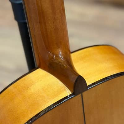 Cordoba F7 Flamenco - Pau Ferro Fingerboard, Natural, B-Stock image 8