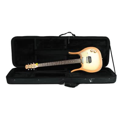 Danelectro Guitarlin Owned by Deryck Whibley Of Sum 41 image 20