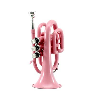 Sky Band Approved Pink Plated Brass Bb Pocket Trumpet with Case, Cloth, Gloves and Valve Oil imagen 2