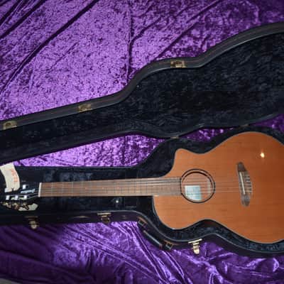 Breedlove guitar case for 00-sized, classical, OM-sized, guitars image 2