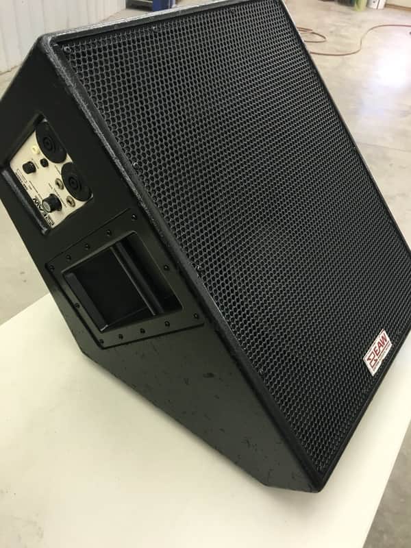 EAW SM-155Hi Stage Monitor (Pair) | Reverb