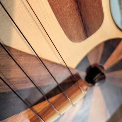Rays Rootworks Electric acoustic Slimline concert ukulele 2026 - Oil image 11