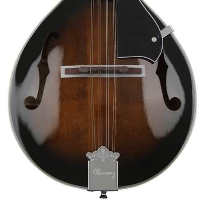 Ibanez M510DVS Mandolin (Dark Violin Sunburst High Gloss) image 2