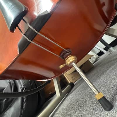 Eastman Strings. 3/4 Upright Bass. Concert Model.(Paige's)(2023)(Outfit) image 15