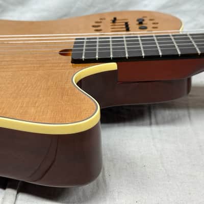 Godin Multiac Grand Concert SA Nylon String Classical Guitar with Case 2012 image 14