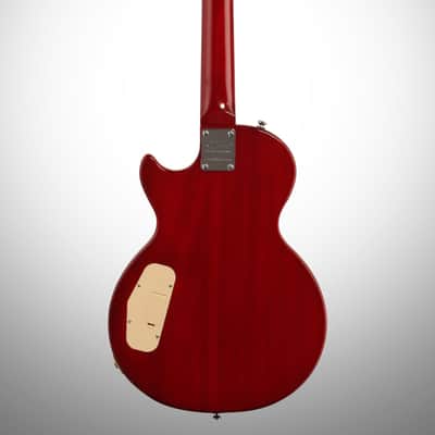 Epiphone Slash Appetite for Destruction Les Paul Electric Guitar (with Gig Bag) image 5