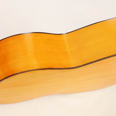 Francisco Pau ~1890 early Spanish guitar in Torres Style - outstanding construction + sound -check video image 13