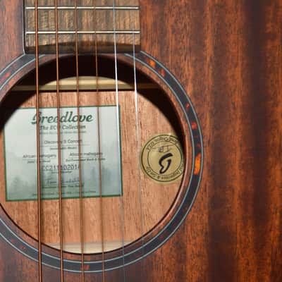 2022 Breedlove - Discovery S Concert - Mahogany image 2