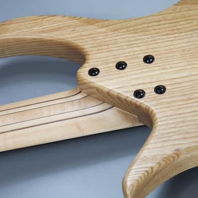 BQW Tavern series 5 string Bass image 13