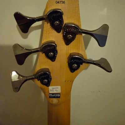 Dingwall NG Adam "Nolly" Getgood Signature 5-String image 5