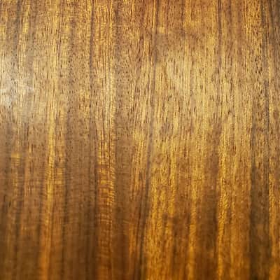 Warwick Thumb Bass Bolt On 6 String Electric Bass 2007 - Natural image 16