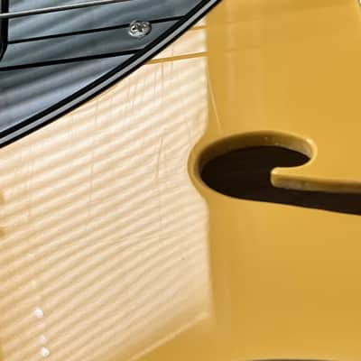(Garland, TX) Fender Britt Daniel Telecaster Thinline 2023 - Amarillo Gold image 19