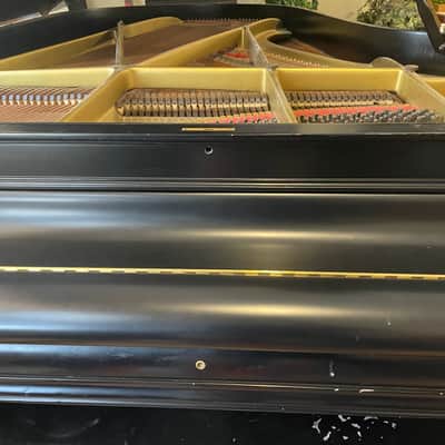 Chickering Grand piano 7foot image 7