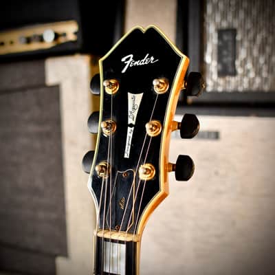 Fender D'Aquisto Elite Natural 1984 image 11