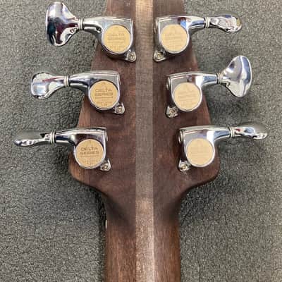 Pheo Rose with Taylor Solidbody Pickups and Switching - 2026 image 9