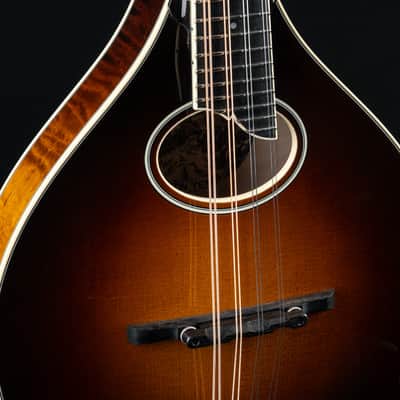 Collings MT2 O Adirondack Spruce and Flamed Maple 1-Piece Back Sunburst Mandolin NEW image 9