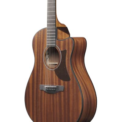 Ibanez AAM54CE-OPN - Acoustic Guitar image 4