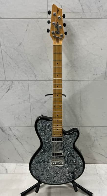 Godin Radiator 2005 image 1