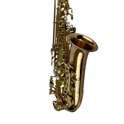 Yanagisawa AWO20UL Unlacquered Bronze Elite Alto Saxophone New In Box! image 16