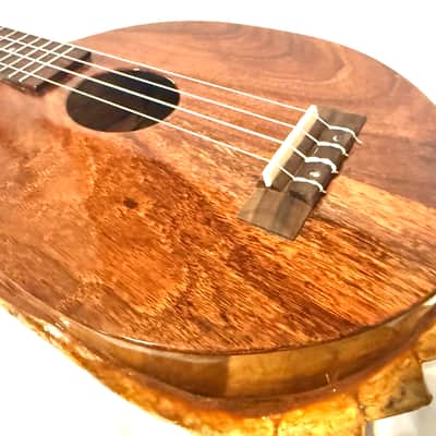 Turtle Shell Tenor Ukulele image 1