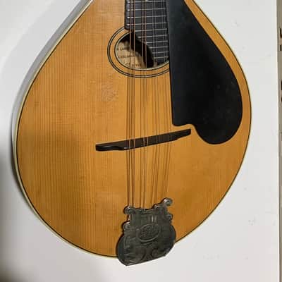 Lyon & Healy Style C Mandolin 1920 image 6
