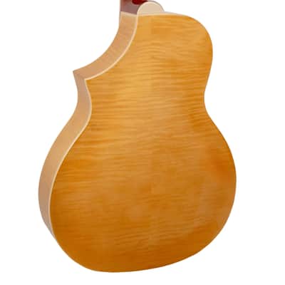 Gold Tone Mojo Flamed Solid Maple Top Mahogany Round Neck Resonator Guitar with Pickup and Case image 6