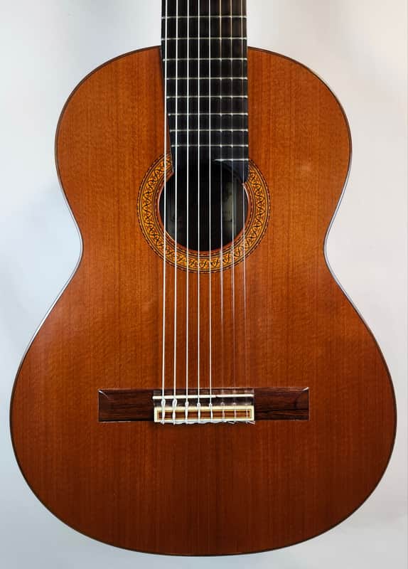 Ramirez 1975 Class 1a 8-String Classical Guitar, Made in Madrid, w/Paperwork, HSC image 1