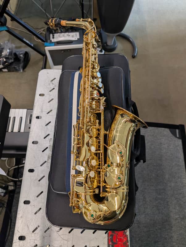 Ripa 5030VFRGL-SS Sax Alto Special image 1