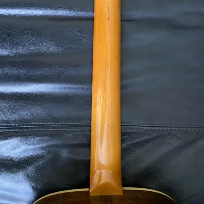 Fender Shenandoah 12 String 1965 image 7