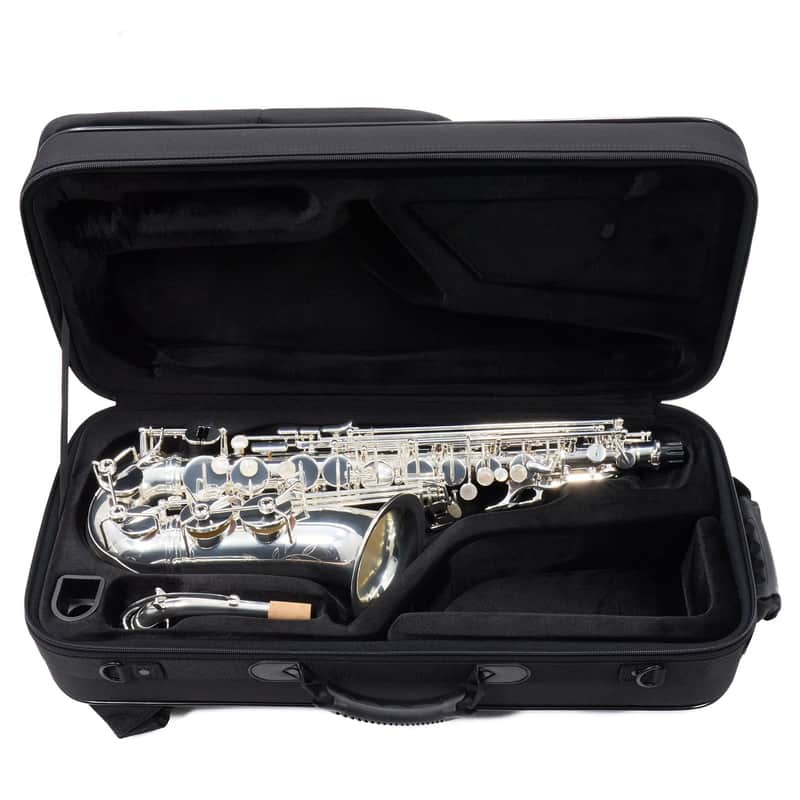 C.G. Conn Model CAS411S Alto Saxophone in Silver Plate SN AJ00324042 EXCELLENT image 1